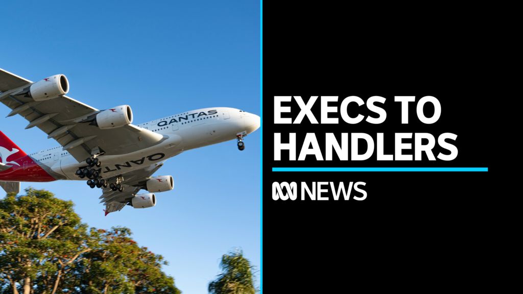 Qantas Asks Executives To Volunteer As Baggage Handlers And Drivers ...