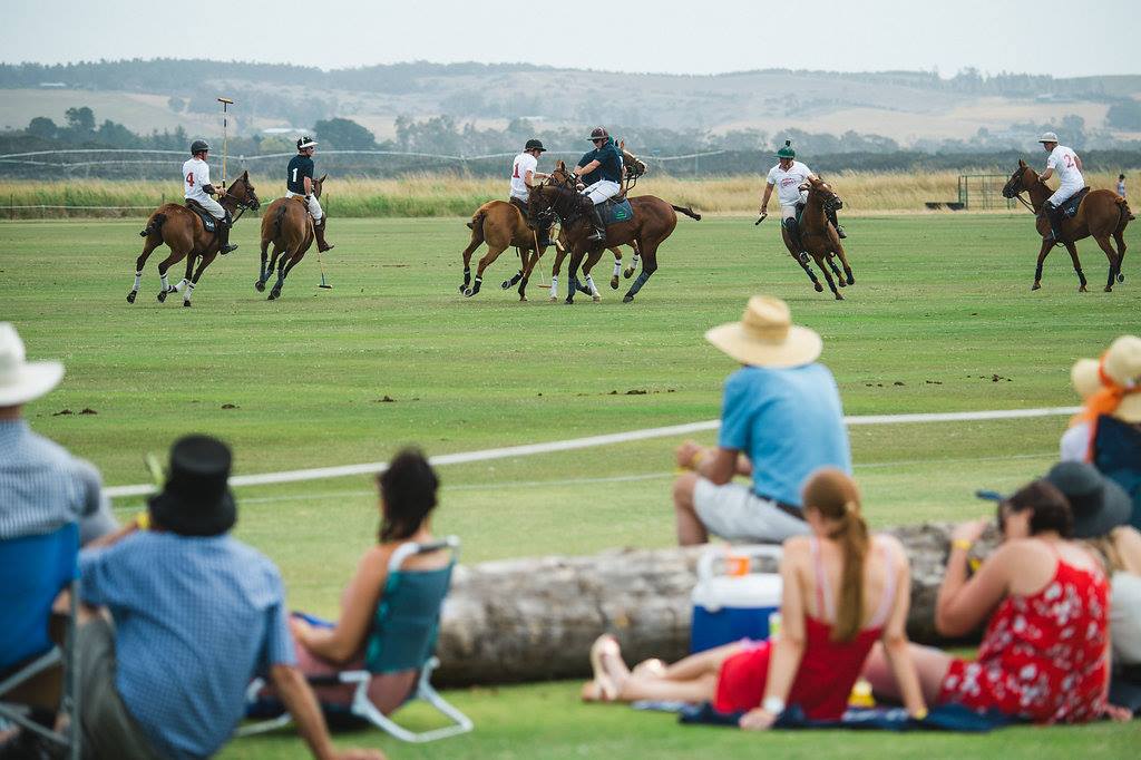 Still more questions than answers one year after polo pony truck deaths