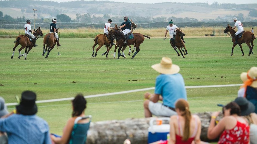 Spectators watch polo competitors in action.