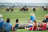 Spectators watch polo competitors in action.