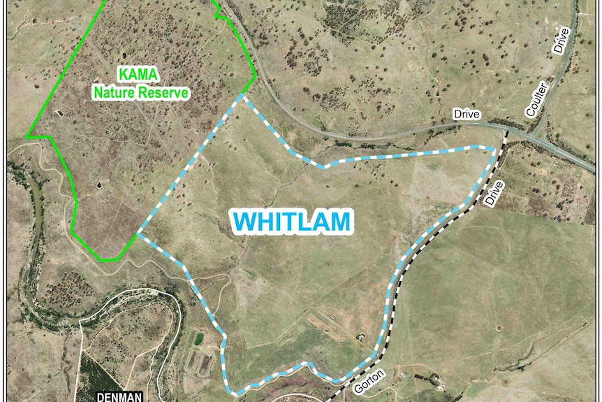 A map of the new Canberra suburb of Whitlam.