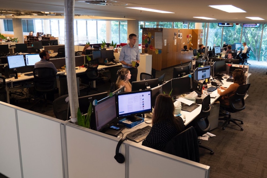 People sitting at desks working on computers in newsroom.