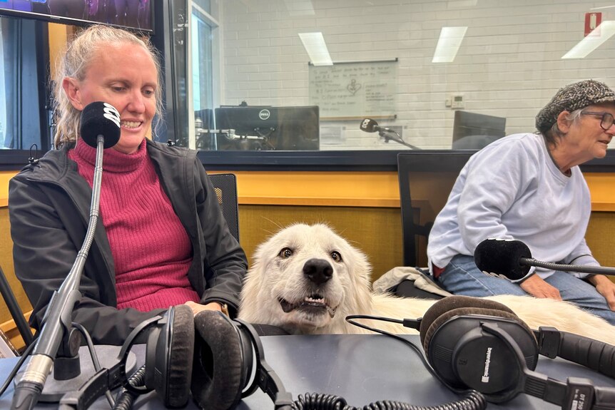 A dog and two women sit inside a radio studio