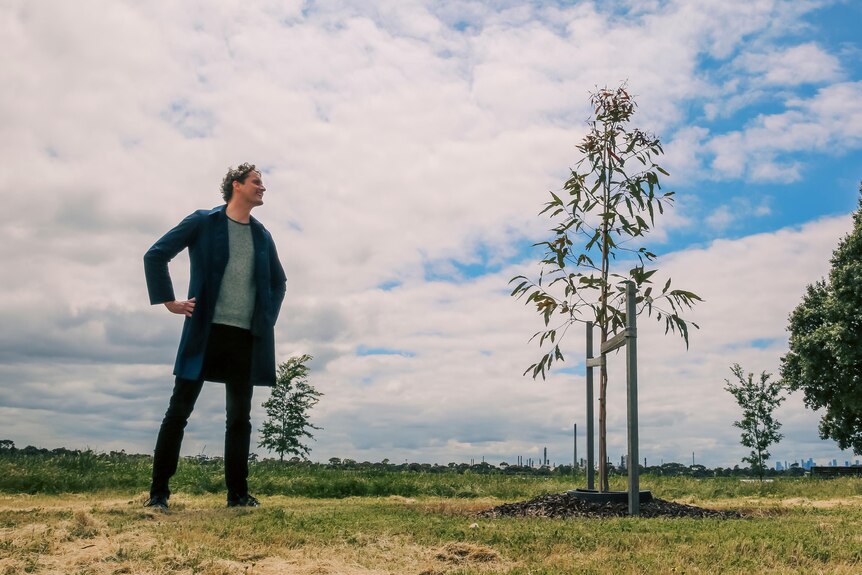 A man stands in a green field and looks at a tree.