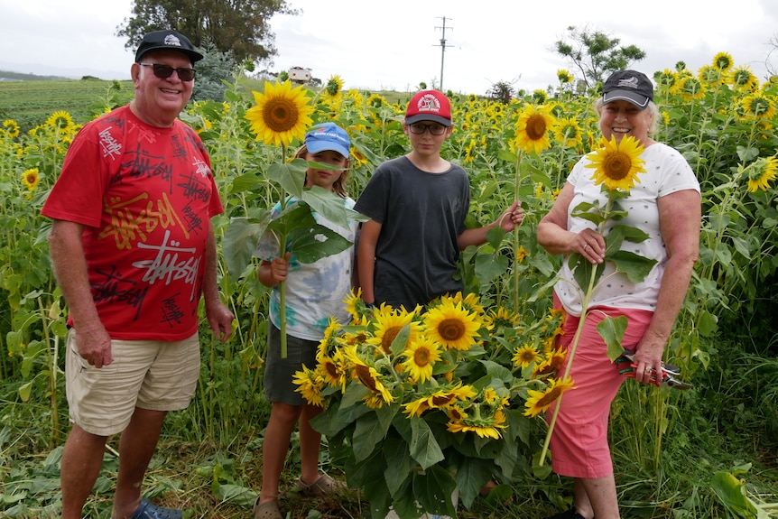 Grandparents and their grandkids hold bunch of flowers smiling in front of sunflower crop. 
