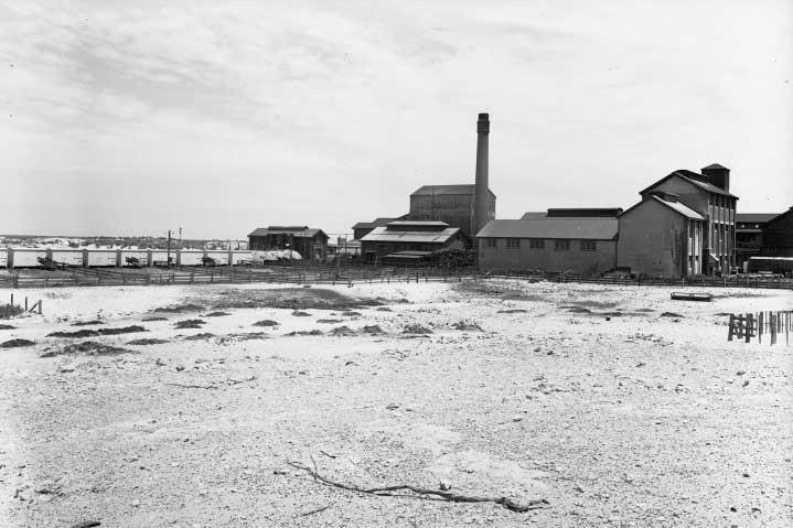 Robb Jetty Abattoir c1938.