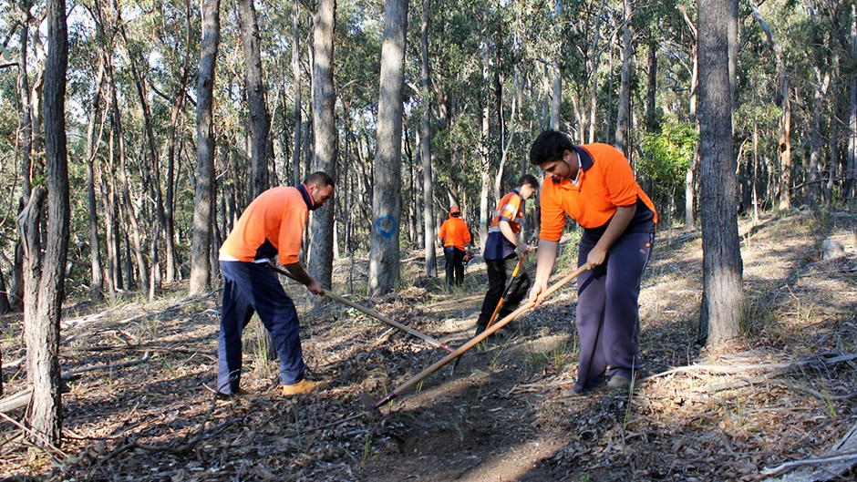 A work crew employed by the Eden Local Aboriginal Land Council clearing a section of the Bundian Way