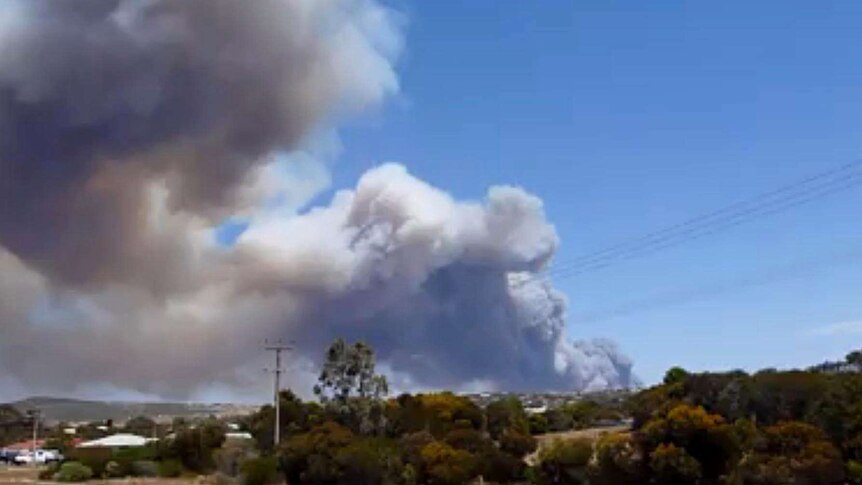 Plume of smoke rises west of Port Lincoln