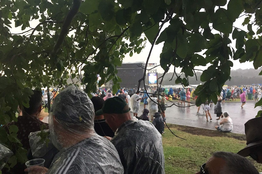 Music fans huddle under a tree before Bruce Springsteen plays