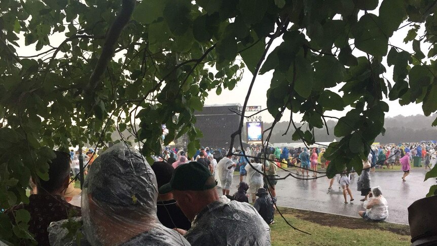 Music fans huddle under a tree before Bruce Springsteen plays