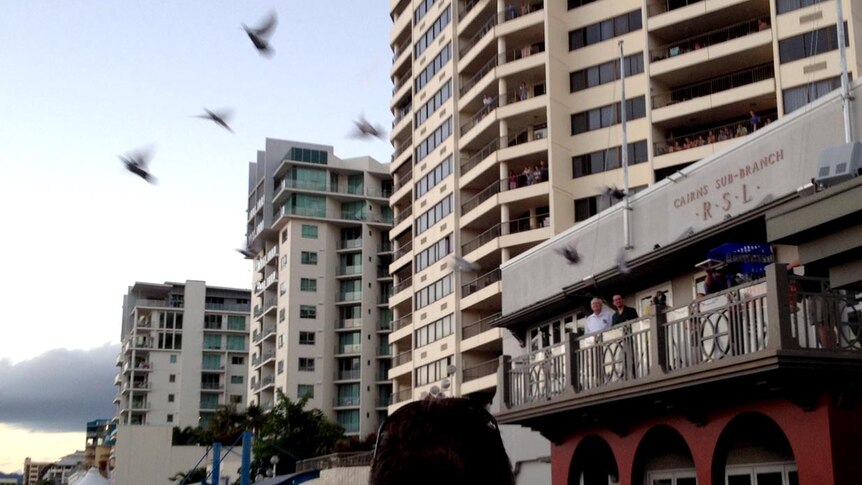 Doves are released after the Anzac Day dawn service in Cairns.