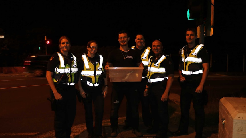 Victoria Police and a reptile catcher, who is holding a crocodile in a plastic tub.