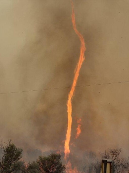 Flames spiral into the sky as grassfires burn around Thargomindah in Queensland's south-west, October 2012