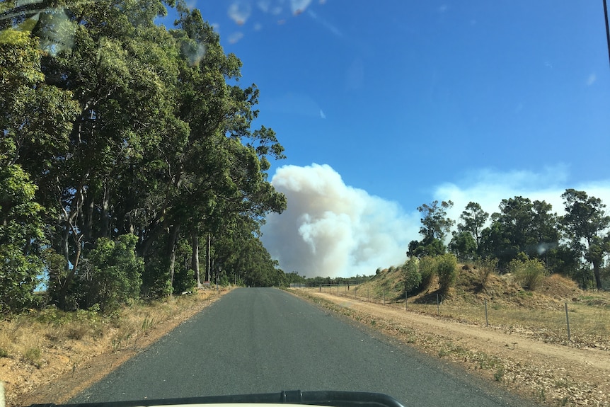 Smoke viewed from a road