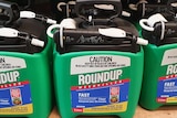 Several Bottles of RoundUp on the shelf