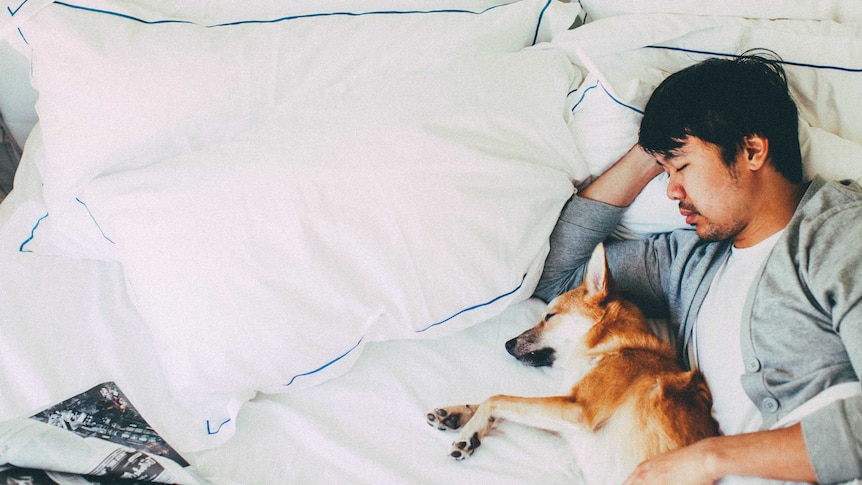 A man asleep in bed with his dog.