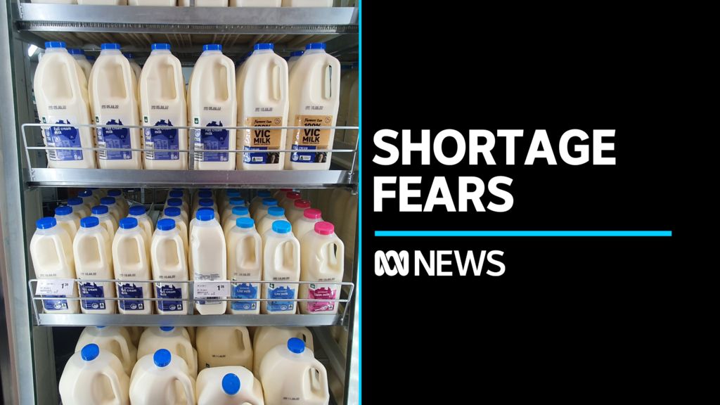 Dairy Workers' Strike Sparks Fears Of Milk Shortage In Victoria - ABC News