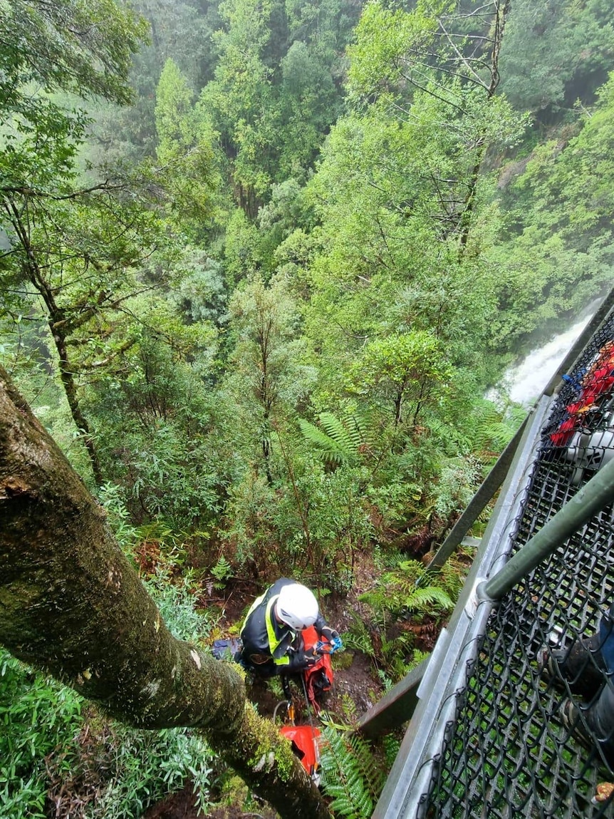 A person wearing a helmet abseils into thick forest next to a waterfall