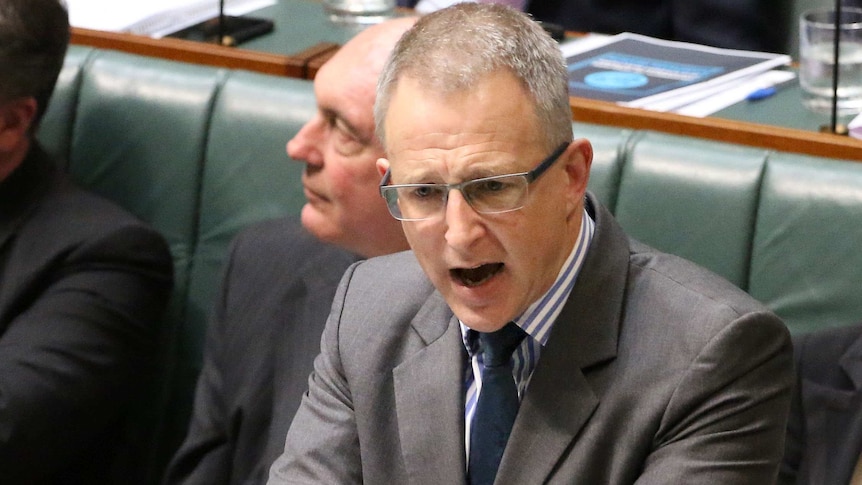 Paul Fletcher speaks at the dispatch box in the House of Representatives.