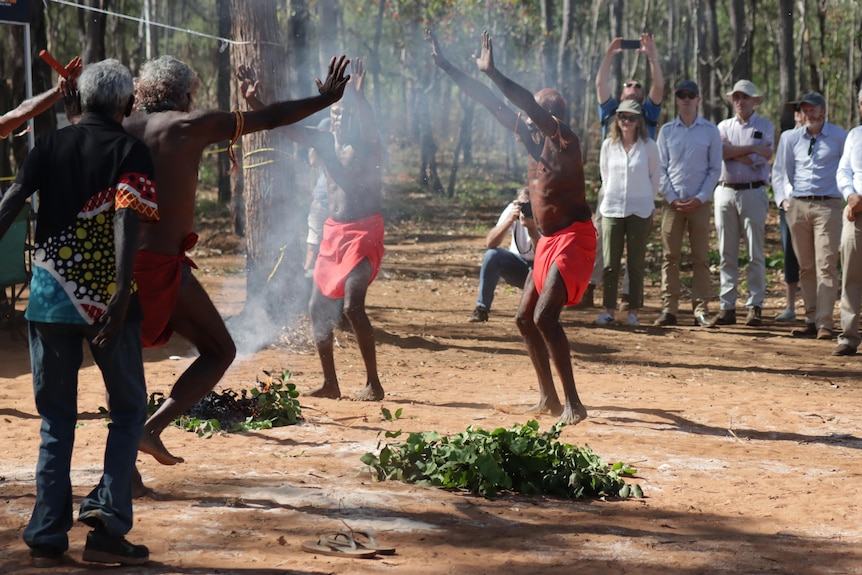 तिवी द्वीप पर पित्जामिर्रा में धूम्रपान समारोह के दौरान पुरुष अपनी बाहों के साथ हवा में खड़े होते हैं।
