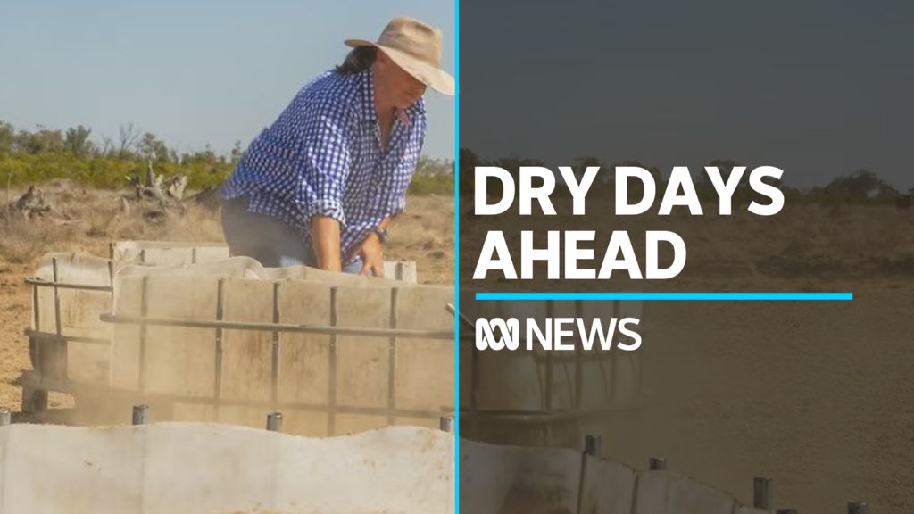 Farmers adapt operations for drought-like conditions - ABC News