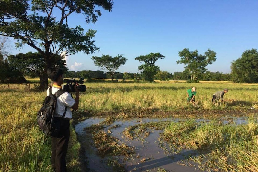 Myanmar Agriculture image