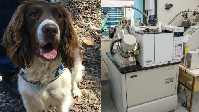 Composite image of a mass spectrometer and a cadaver dog