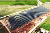 rows of solar panels on a block of land in an aerial view, green land surrounds them