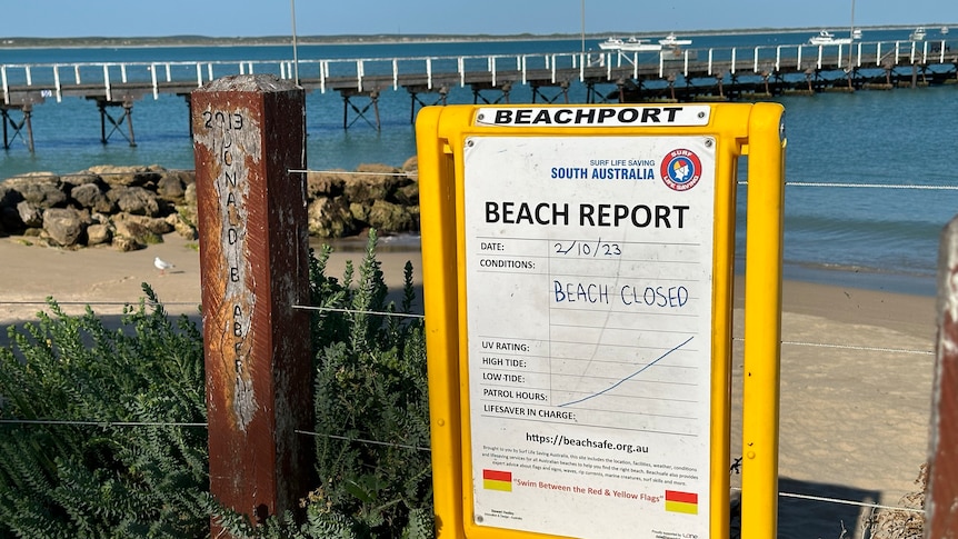 A yellow sign saying 'beach closed', in front of a beach and jetty.