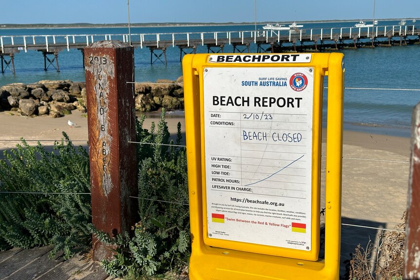 A yellow sign saying 'beach closed', in front of a beach and jetty.