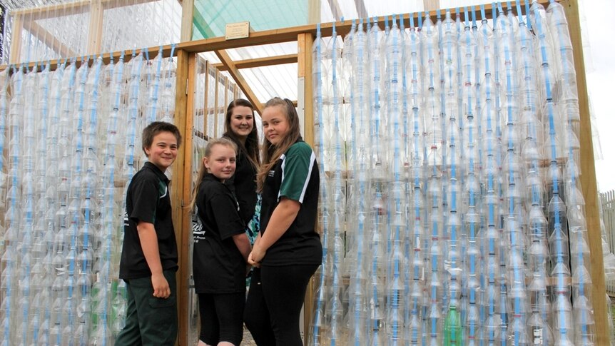 Greenhouse made from recycled plastic bottles