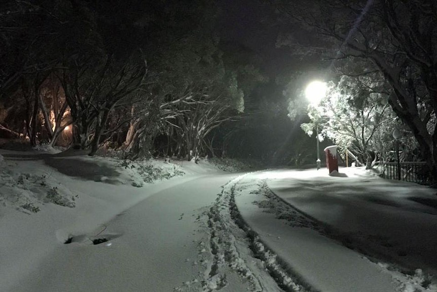 Snowfall at the Mount Buller ski resort in Victoria.