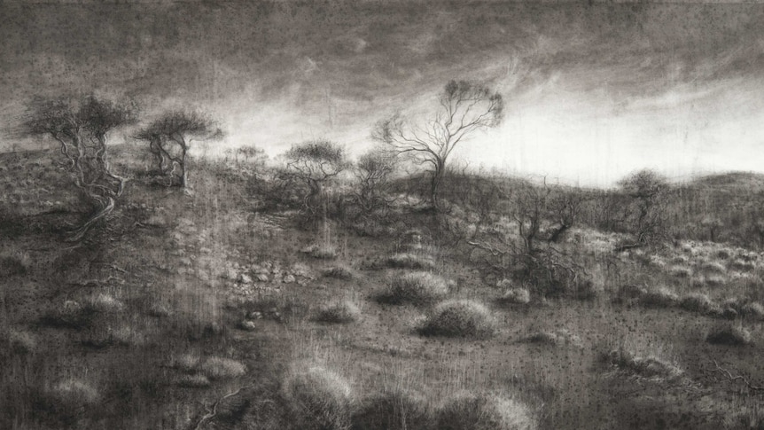 A bleak looking charcoal drawing of an Australian bush landscape.