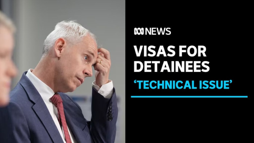 Visas for Detainees, 'Technical Issue': Immigration Minister Andrew Giles scratches his forehad.