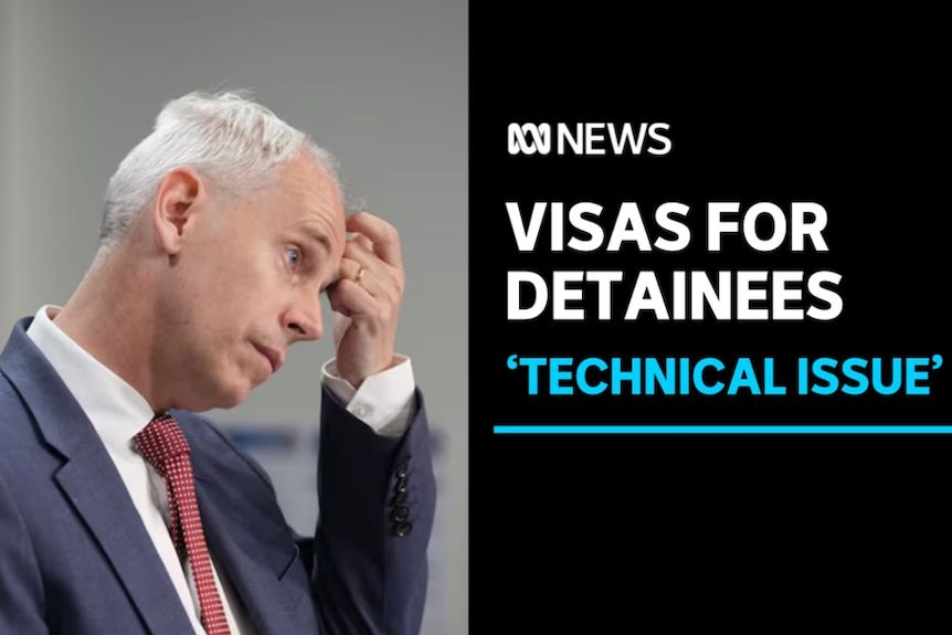 Visas for Detainees, 'Technical Issue': Immigration Minister Andrew Giles scratches his forehad.