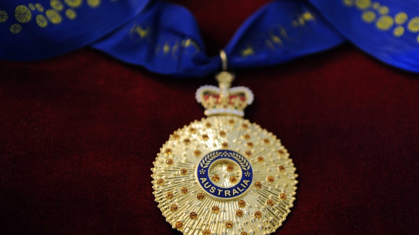 A gold medal on a blue ribbon rests on a velvet cushion