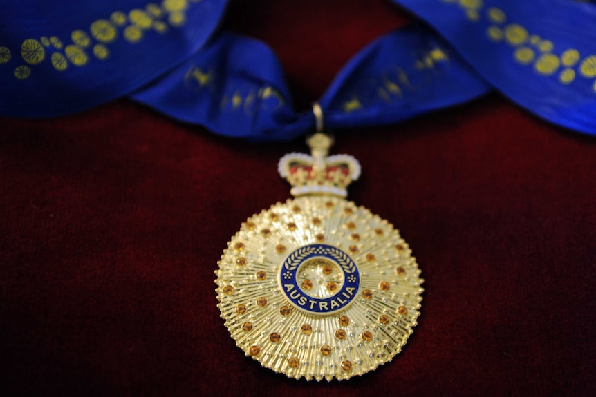 A gold medal on a blue ribbon rests on a velvet cushion