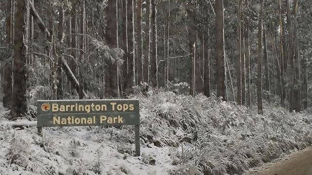Snow in the Barrington Tops in July 2015.
