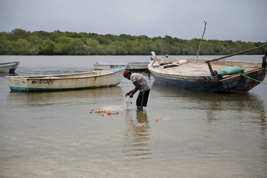 Un homme tenant un filet dans un plan d'eau peu profond devant deux bateaux.