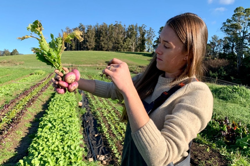 A woman wearing a beige jumper and black aprol holds up a bunch of radishes.