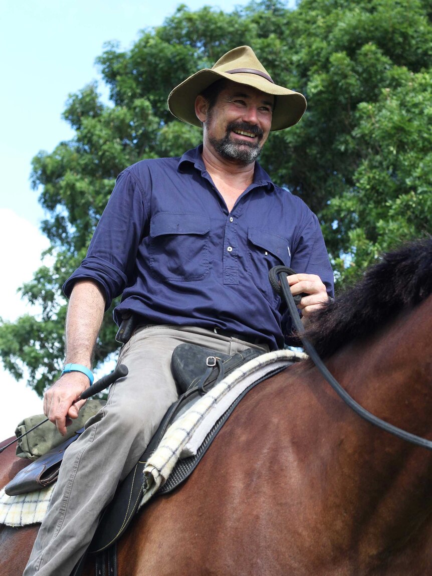 Horses being trained in Darwin for re-enactment of Albert Borella's ...