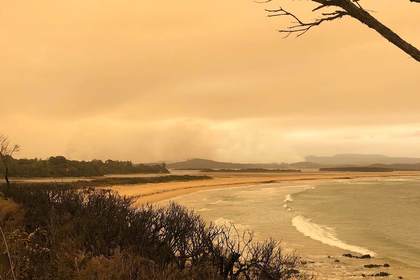 A hazy image of the Mallacoota shoreline shows blackened scrub in the foreground as smoke billows on the horizon.