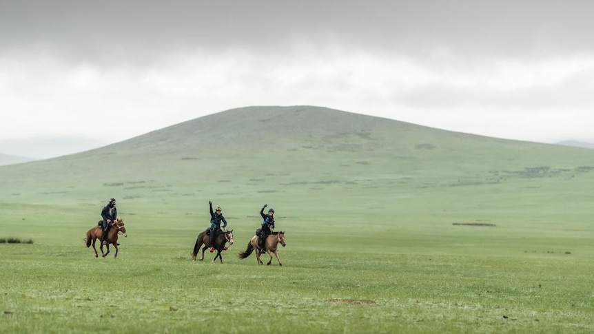 Three horse riders on a grassy plain