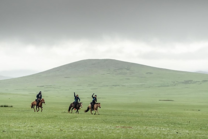 Three horse riders on a grassy plain