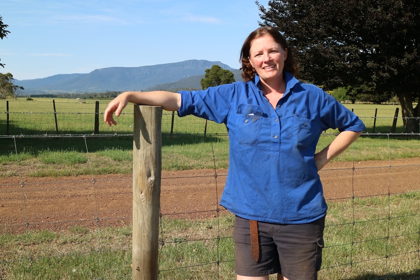 a woman leans on a fence post in a paddock in front of a large pine tree