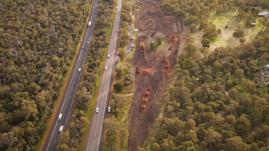 Bunbury Outer Ring Road construction halted with 11th hour Federal Court injunction – ABC News