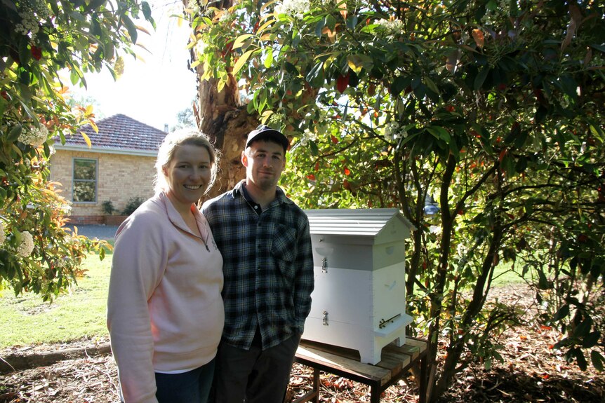 A young couple stand with their bee hive in their backyard.