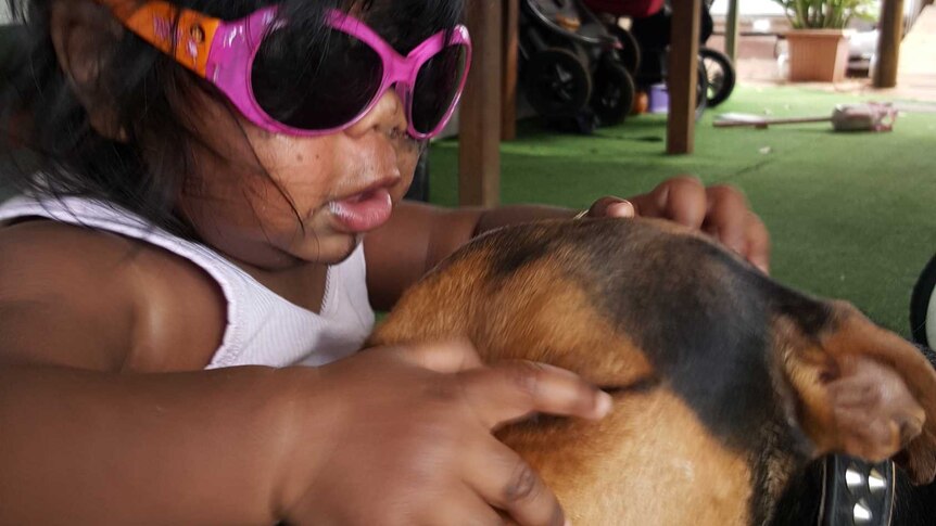 A toddler in a baby walker wearing sunglasses pats a brown dog on the face.