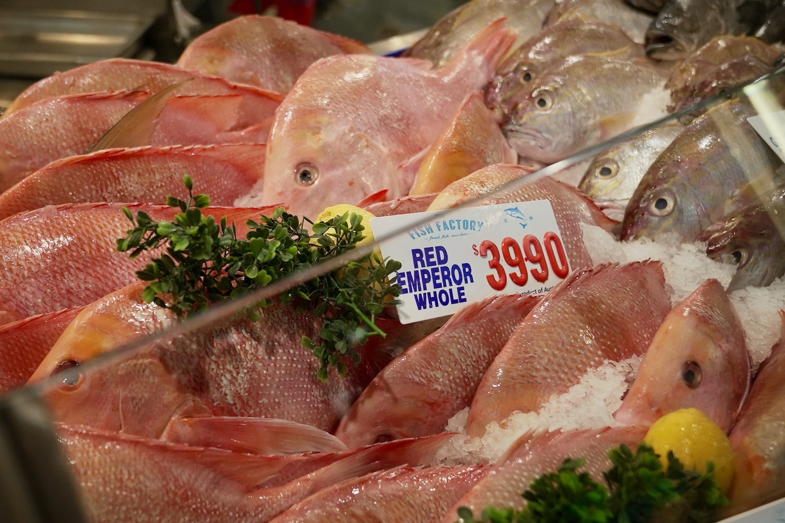 Imperador vermelho inteiro à venda num mercado de peixe.