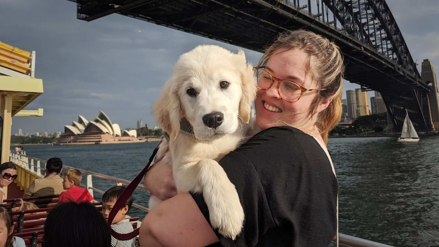 Bill the golden retriever puppy and Laura on a ferry in Sydney
